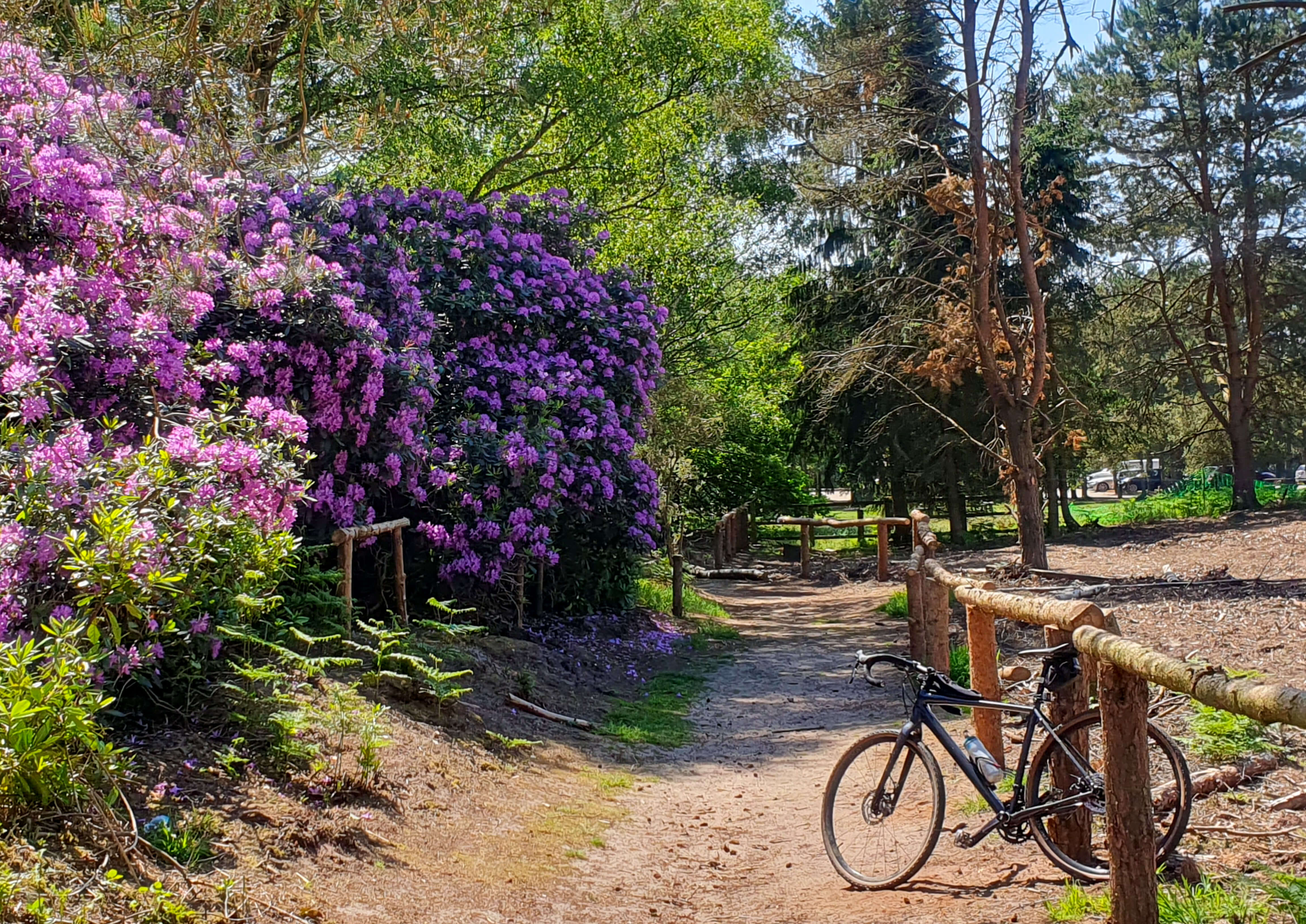 Easy Family Cycle Route at Rushmere