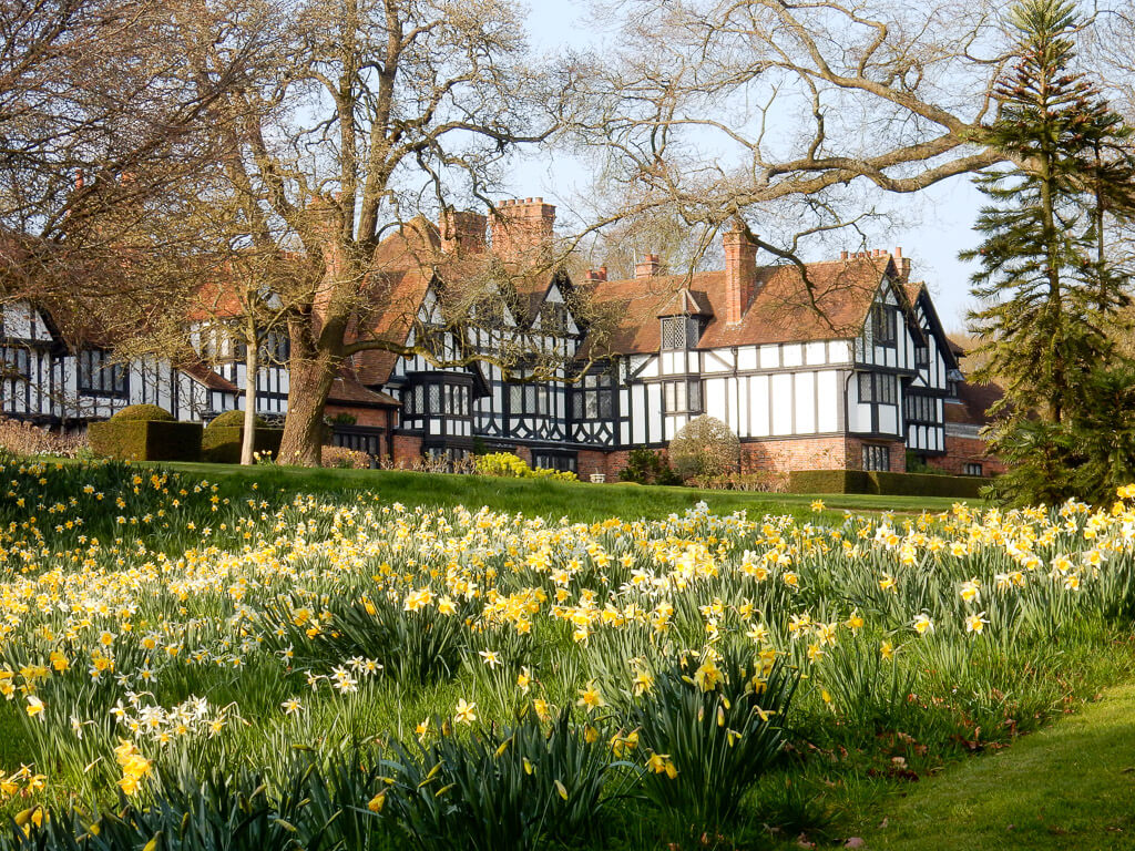 Ascoot House with daffodils