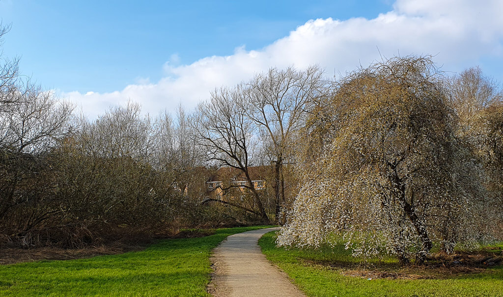 Surfaced path Riverside Walk Leighton Buzzard in spring