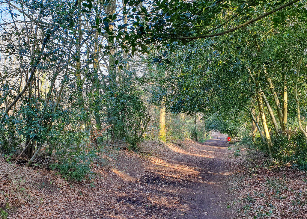 Unsurfaced Path, Sandy Lane, Leighton Buzzard