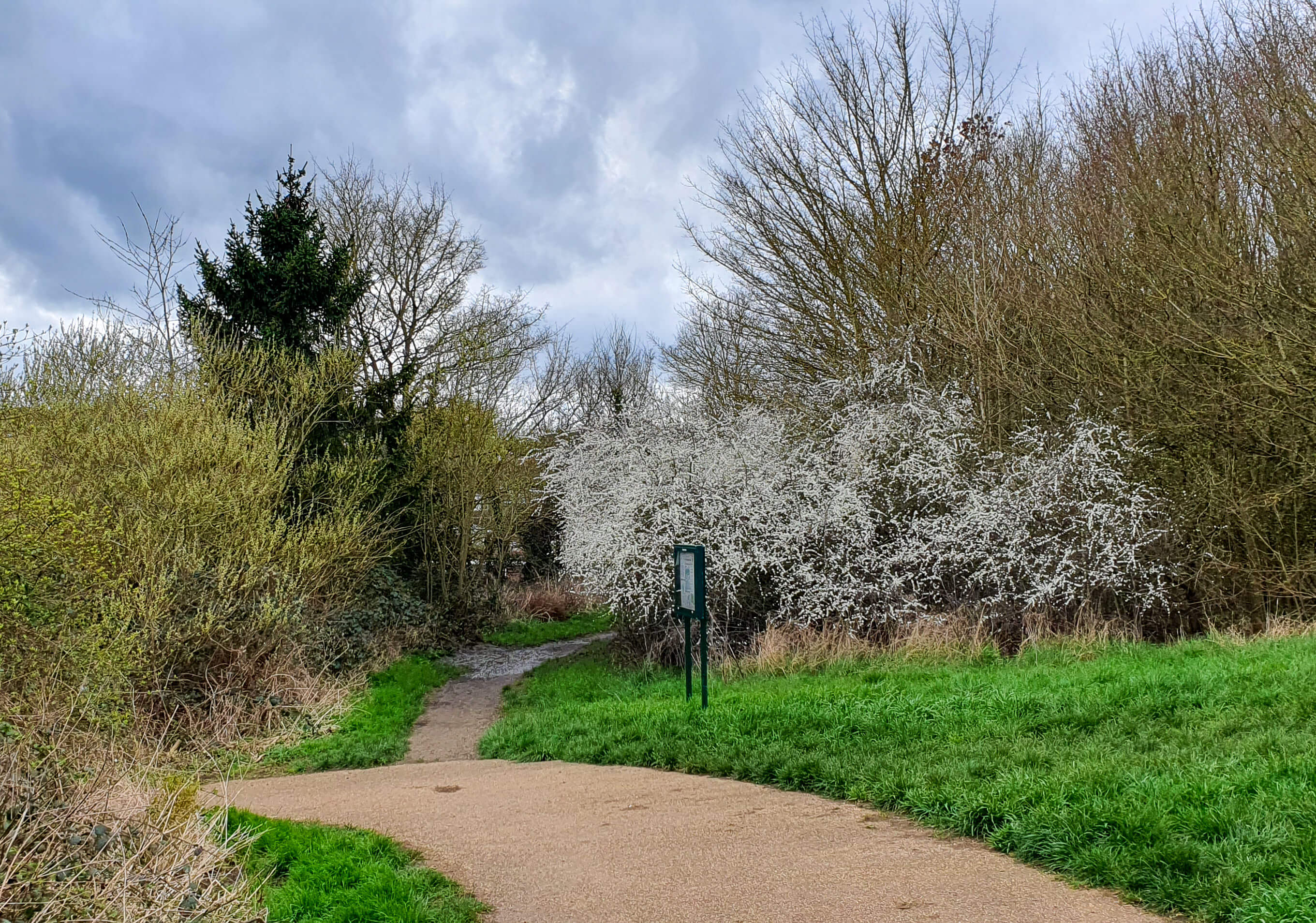 Route: Linslade Woods – Bideford Green Loop