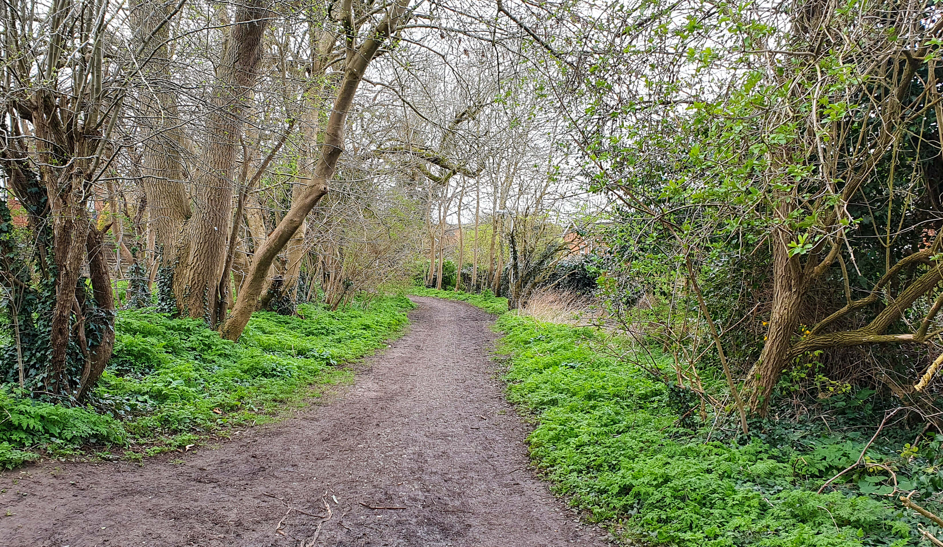 Rock Lake Bridleway near Himley Green